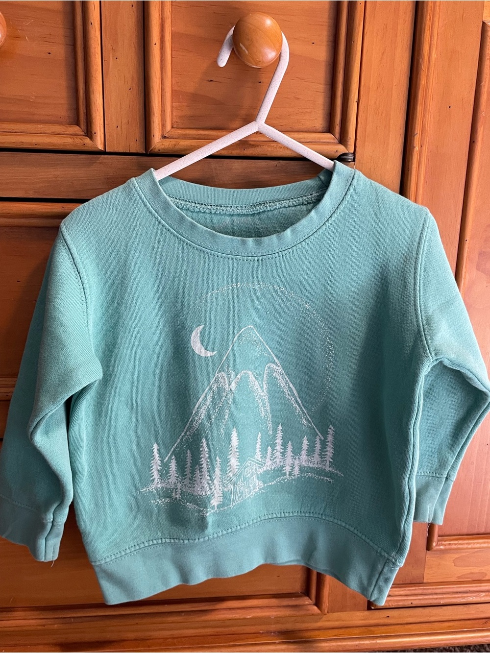 Toddler Mint Green Mountain Graphic Crewneck Sweatshirt